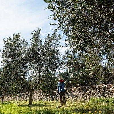 Desbrozadora Echo SRM222ES L